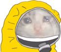CE_HazmatSuitSadCat emote