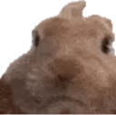 VIBEOFF emote