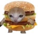 CatBorgar emote