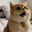 0_0 animated emote