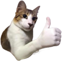 thumbsupcat static emote