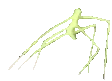 stickbug emoji
