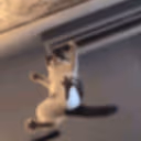 CE_CatKick emote