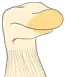 Socko emote