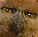 WHY static emote