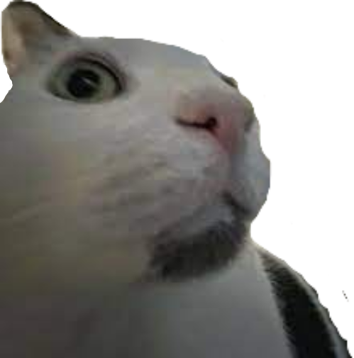 Shocked_Cat static emote