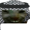 xddHaram emote