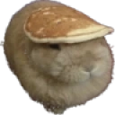 pancakerabbit emote