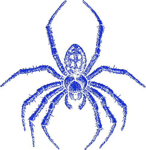 Spider_20 emote