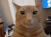 micara emote