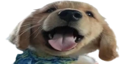 MILO emote
