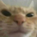 CE_Anger3 emoji