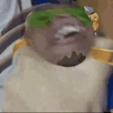 LuciOhNo emote
