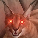 floppa_woke emoji