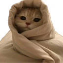catCozy emote