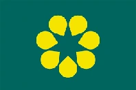 Australia_alt_flag emote