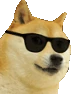 cooldoge emote