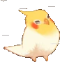 Birb_Wind emote