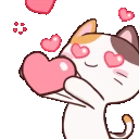 kitty_loveme emote