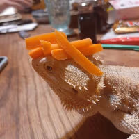CarrotLizard emote