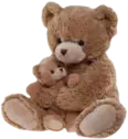 brown_bears emote