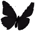 butterfly emote