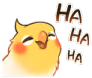 Birb_Laugh emote