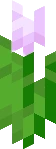 Minecraft_Pink_Tulip emote