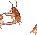 roachJedi emote