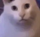 HUH emote