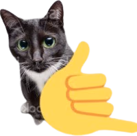 callmecat emote