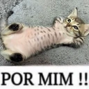 PORMIM emote