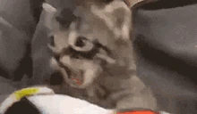bite emote