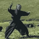 ninjavanish emote