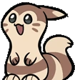 Furret emote
