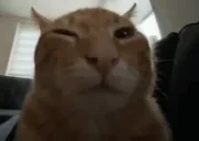 buh emote