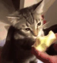 Apple emote