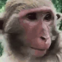 monKEK emote