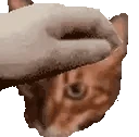 PETTHERAGNAR animated emote