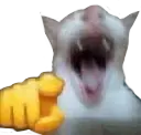 WAJAJA emote