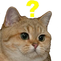 Whatcat_2 emote