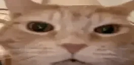 JAJAJA emote