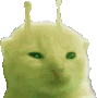 glorpRave emote