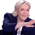 ils_sont_la emote