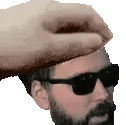 buyanovPet emote