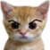 cat_sus emote