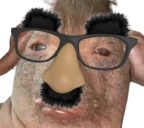 notCreature emote