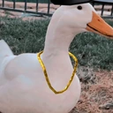 gangster_duck emote