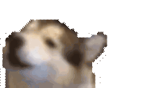 WOOF animated emote