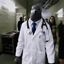 PigeonWalk emote